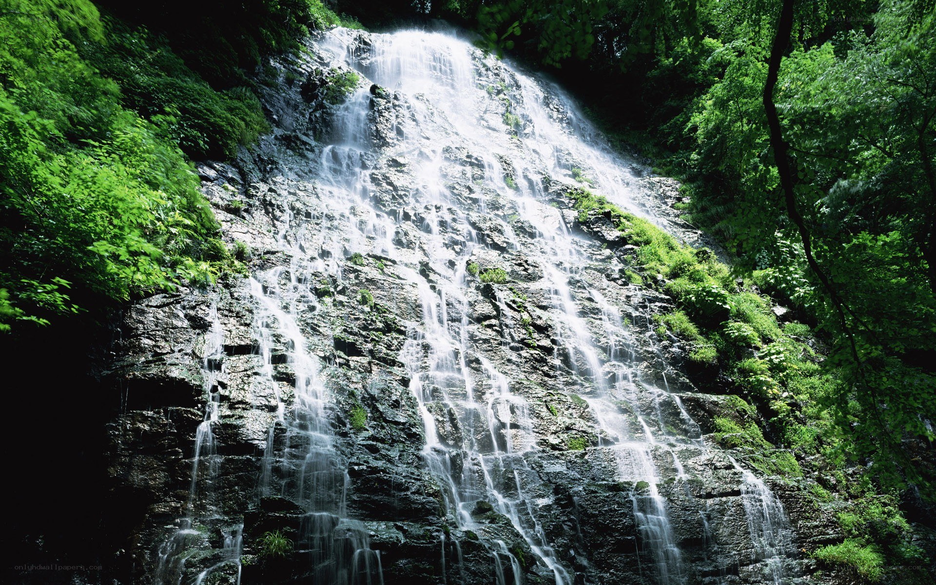Waterfall cascading down a rocky cliff