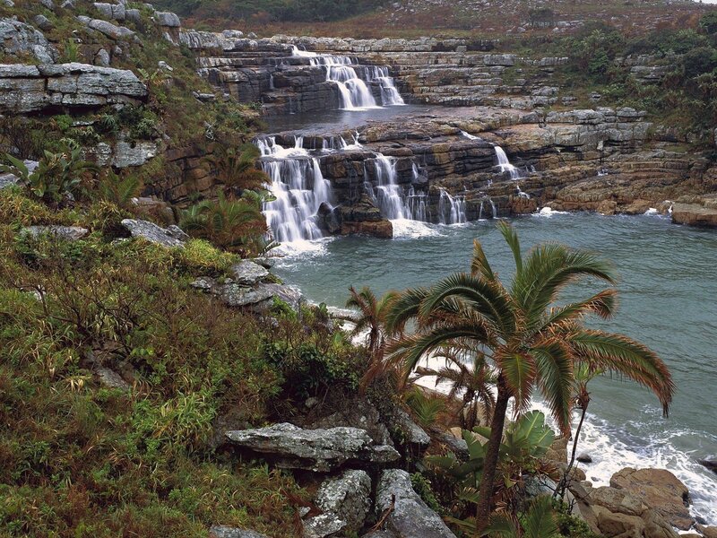 Waterfall Cascading into Sea — Green, Serene, Afternoon, Photograph, Palm Trees