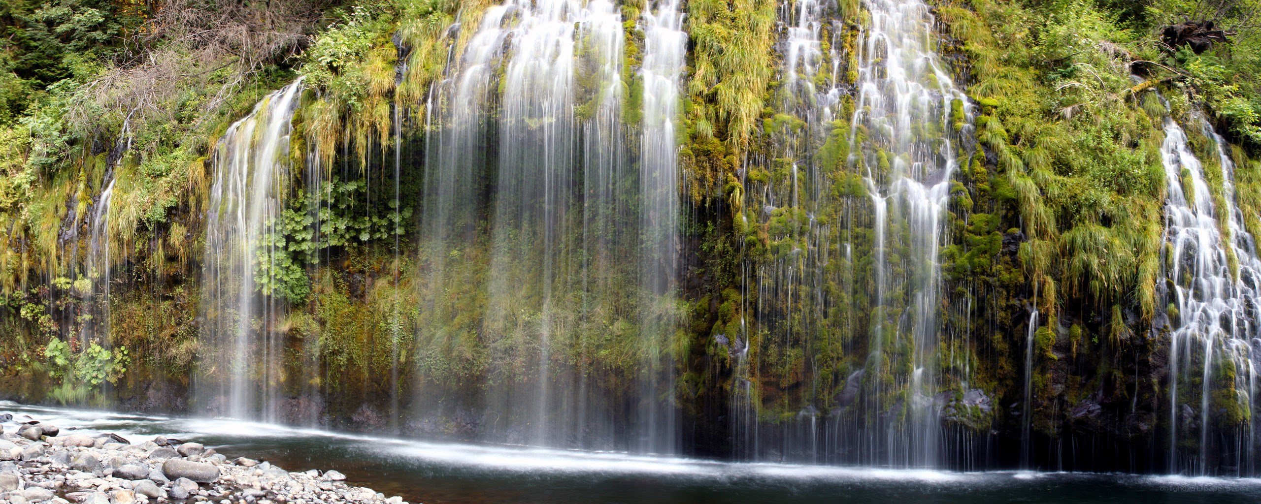 Waterfall cascading over mossy cliff