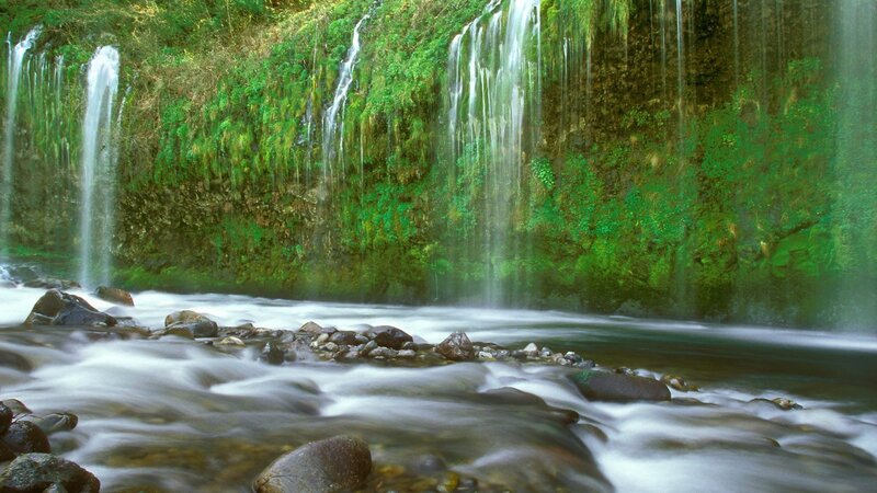 Waterfall cascading over mossy cliff