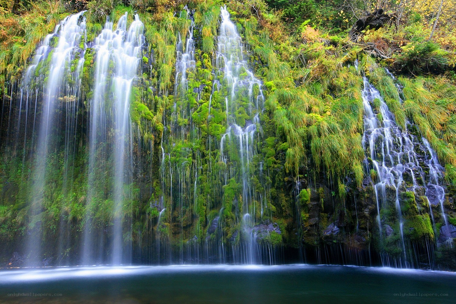 Waterfall cascading over mossy cliff