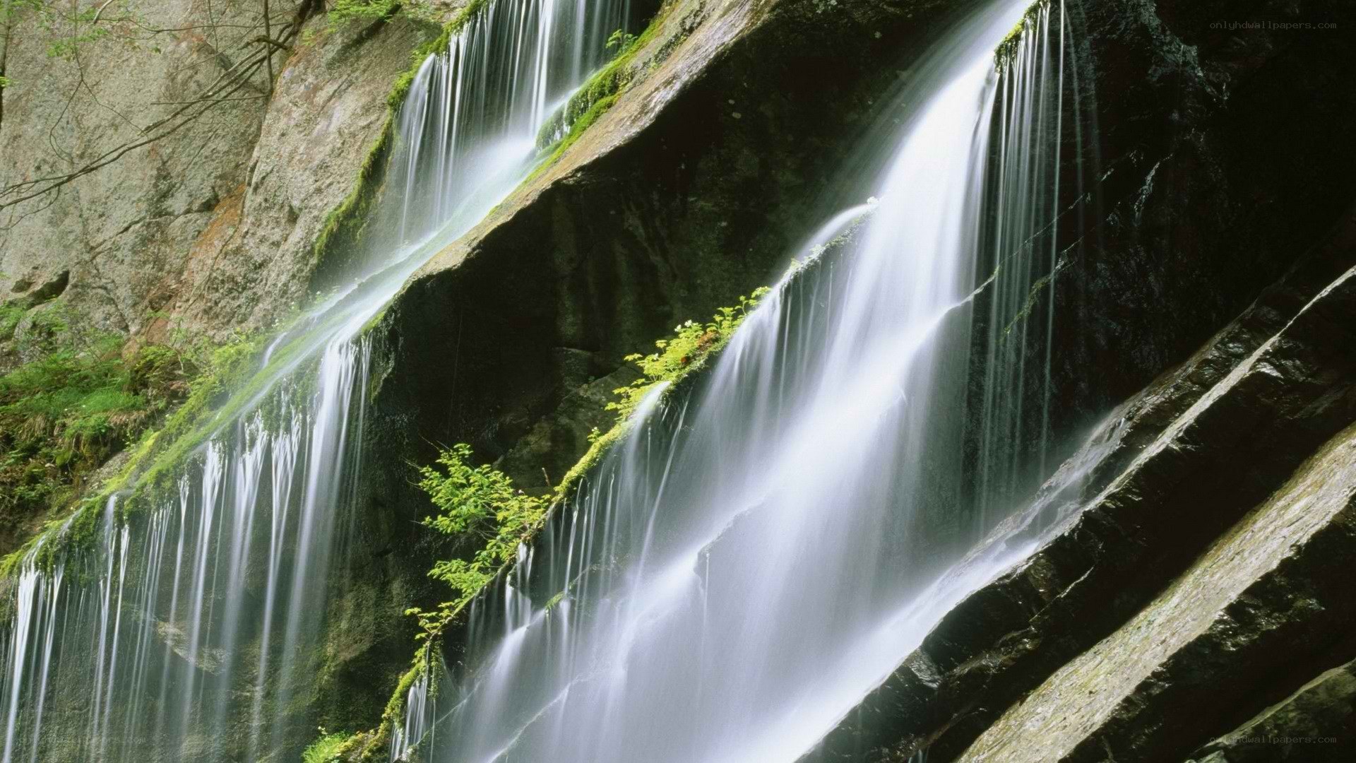 Waterfall cascading over mossy rocks
