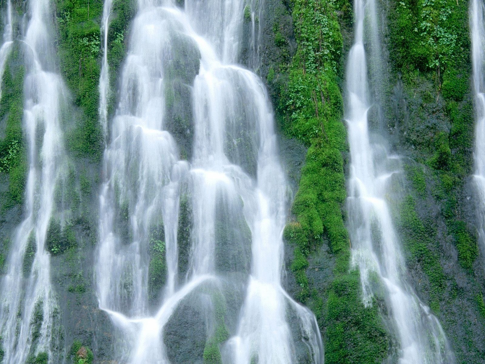Waterfall cascading over mossy rocks