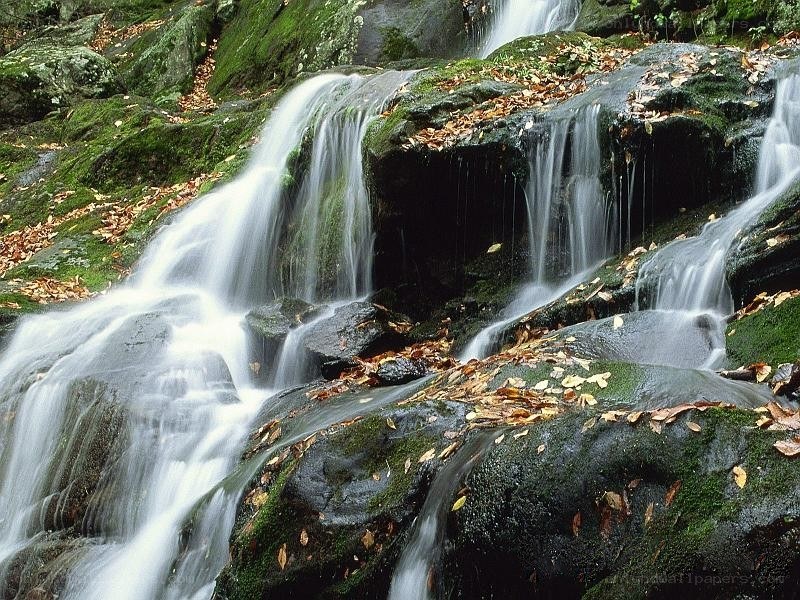 Waterfall cascading over mossy rocks