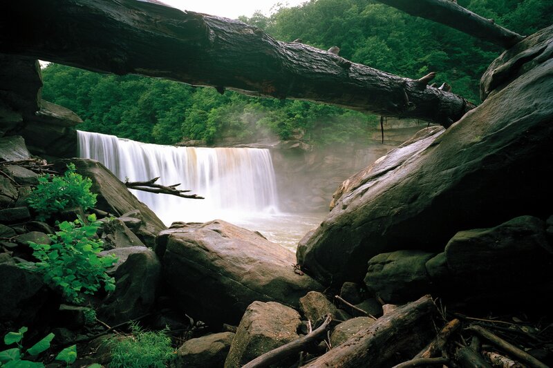 Waterfall framed by fallen tree
