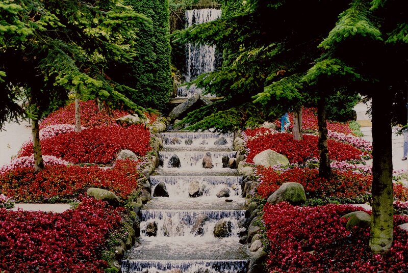 Waterfall Garden with Flowers — Red