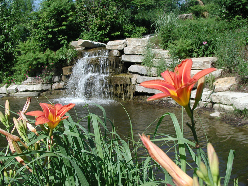 Waterfall garden with lilies