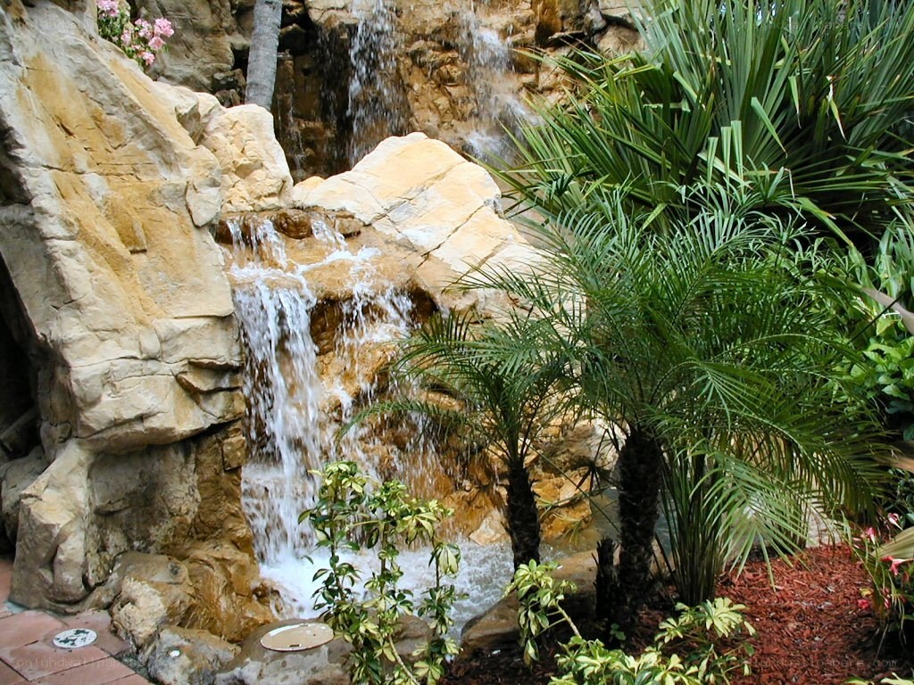 Waterfall garden with palm trees