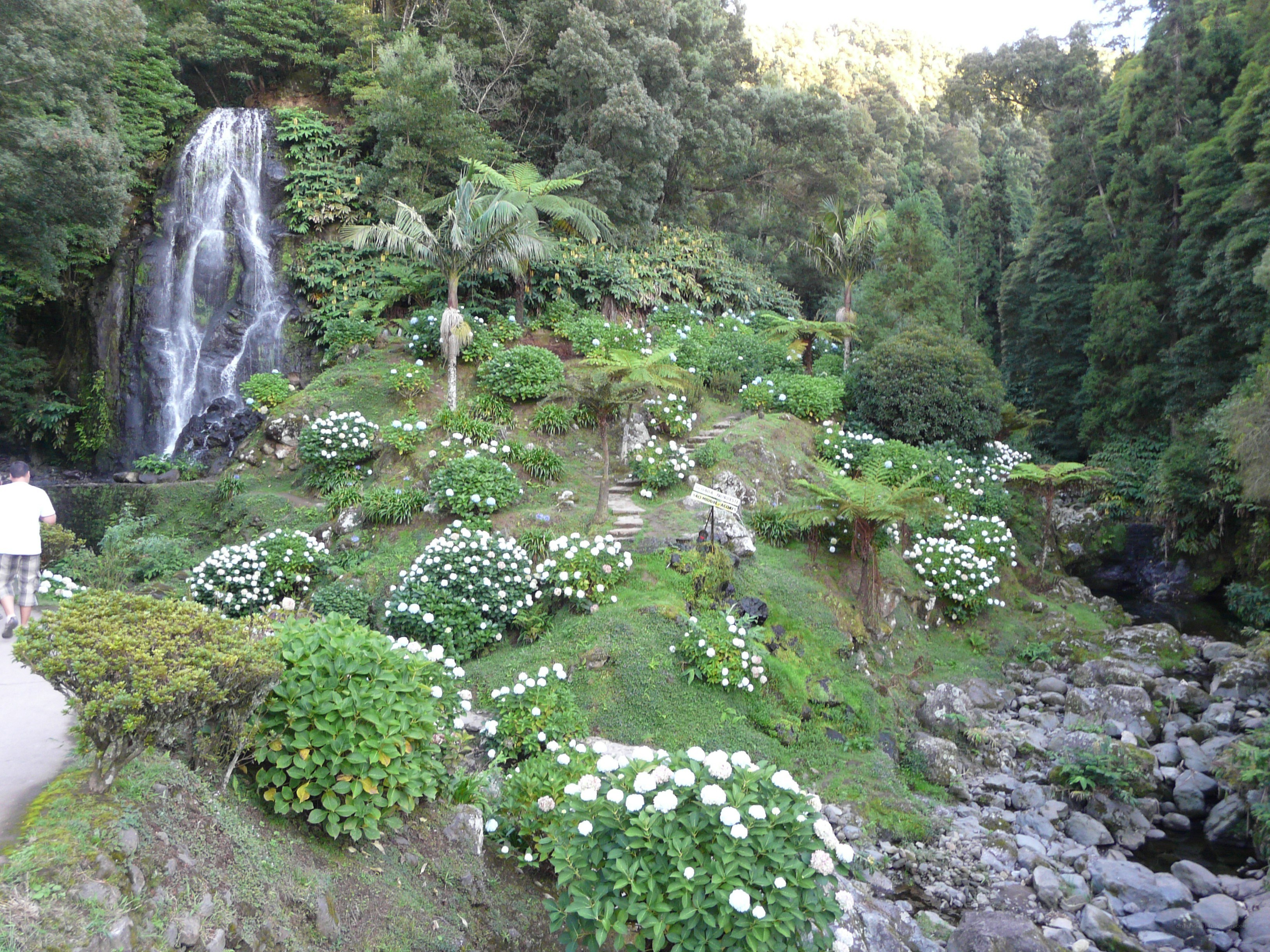 Waterfall garden with white flowers