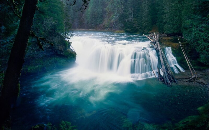Waterfall in a dense forest