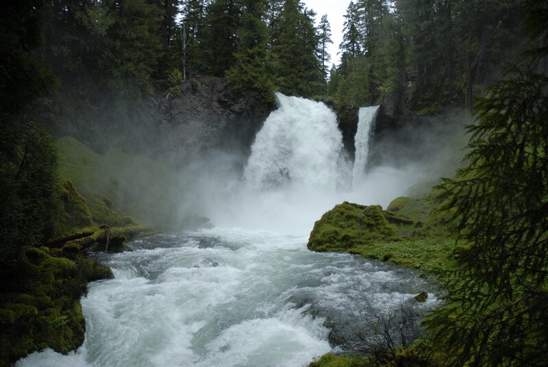 Waterfall in a forest