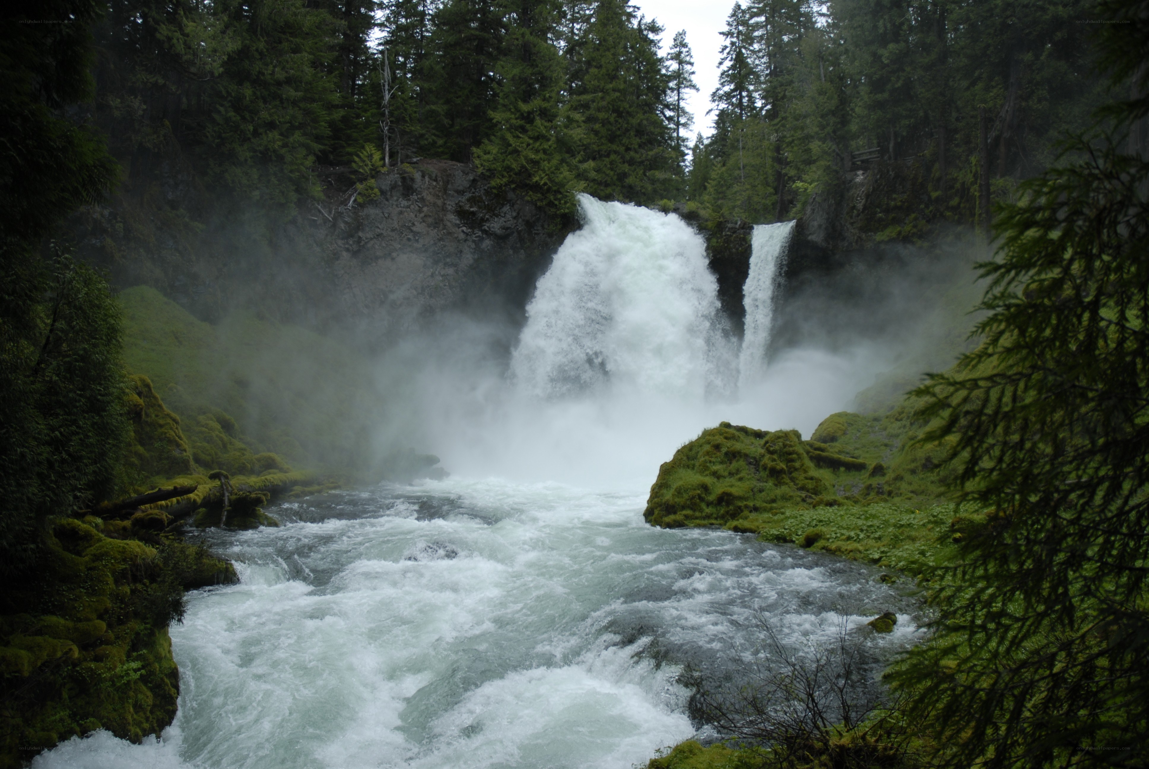 Waterfall in a forest