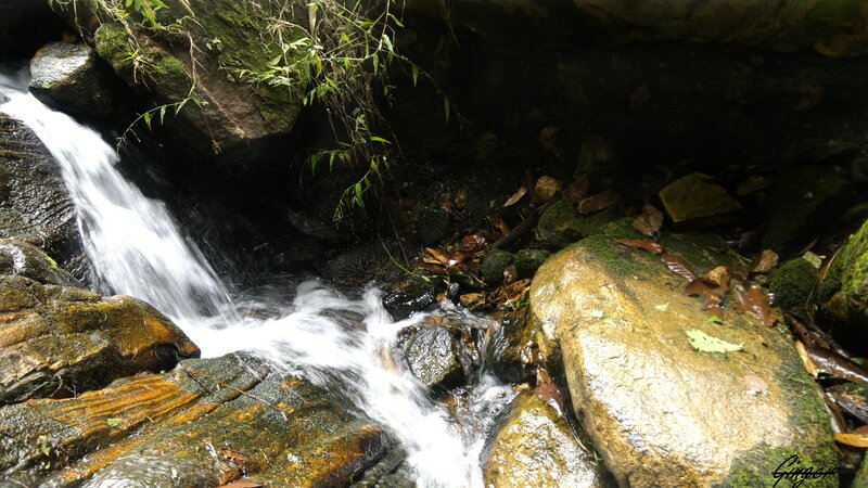 Waterfall in a forest