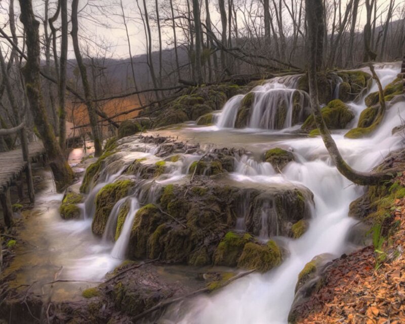 Waterfall in a forest