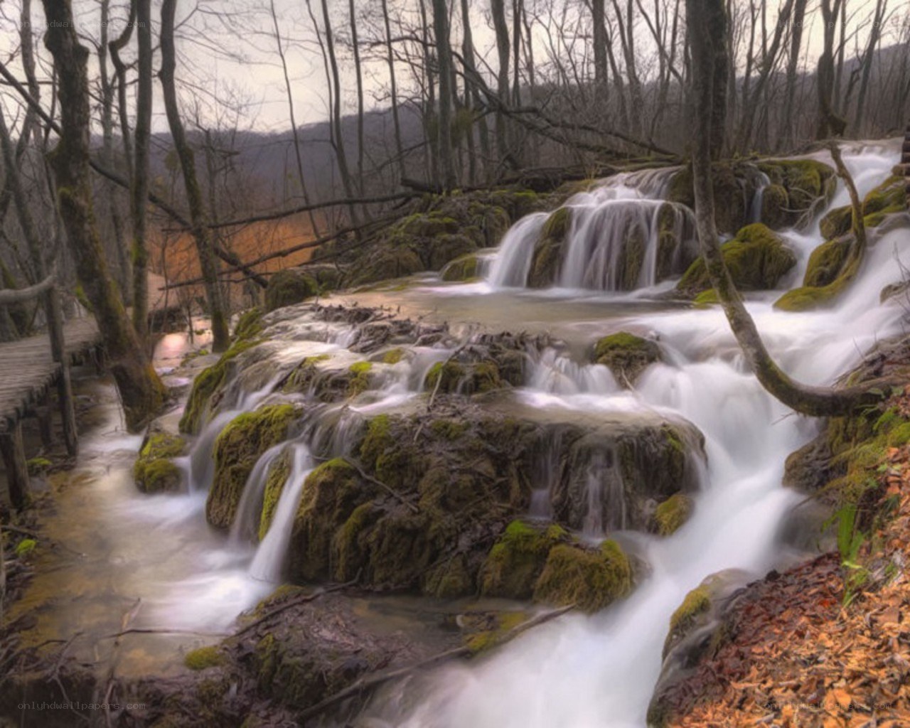 Waterfall in a forest