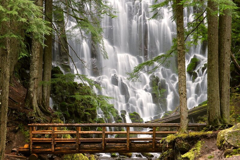 Waterfall in a forest