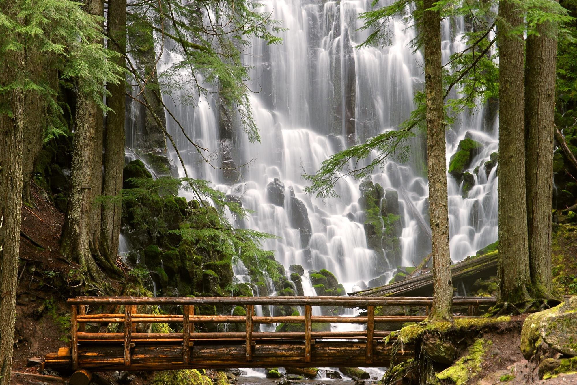 Waterfall in a forest