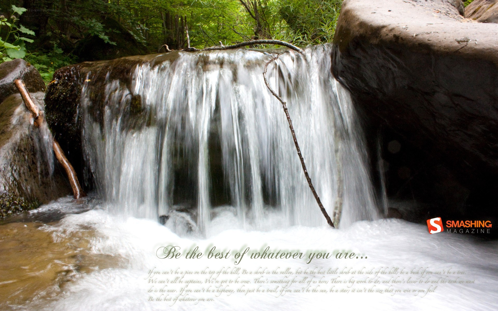 Waterfall in a forest