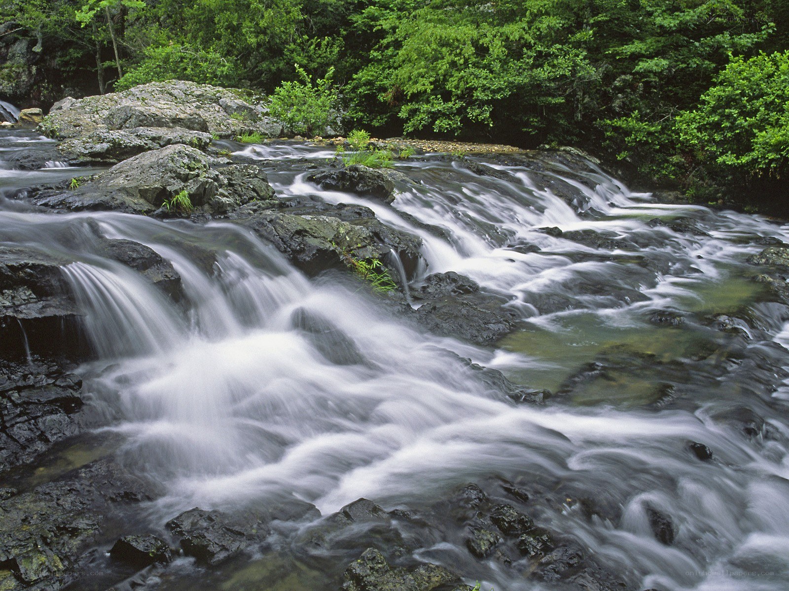 Waterfall in a forest