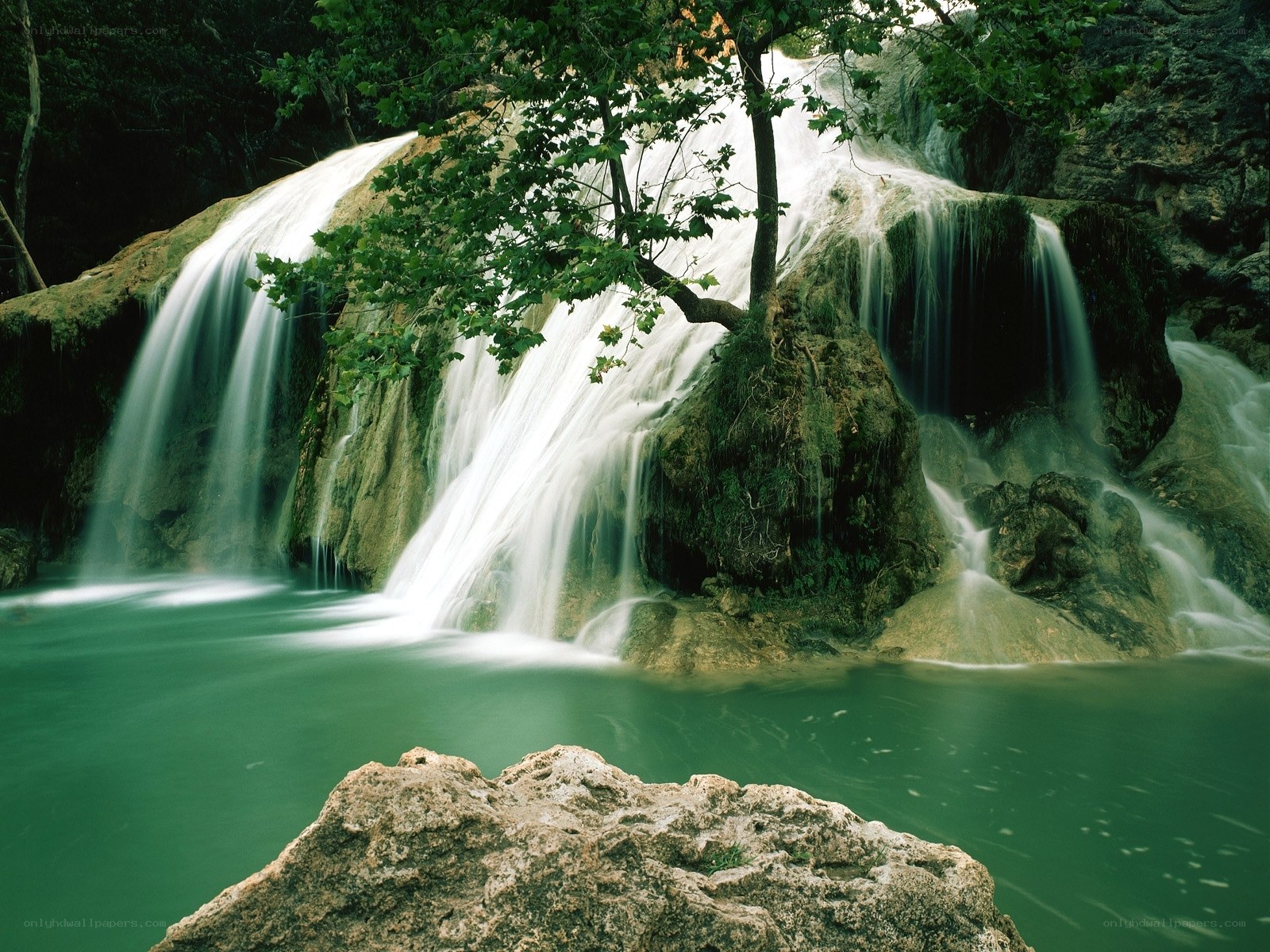 Waterfall in a forest