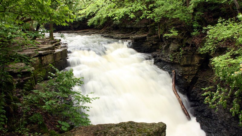 Waterfall in a forest