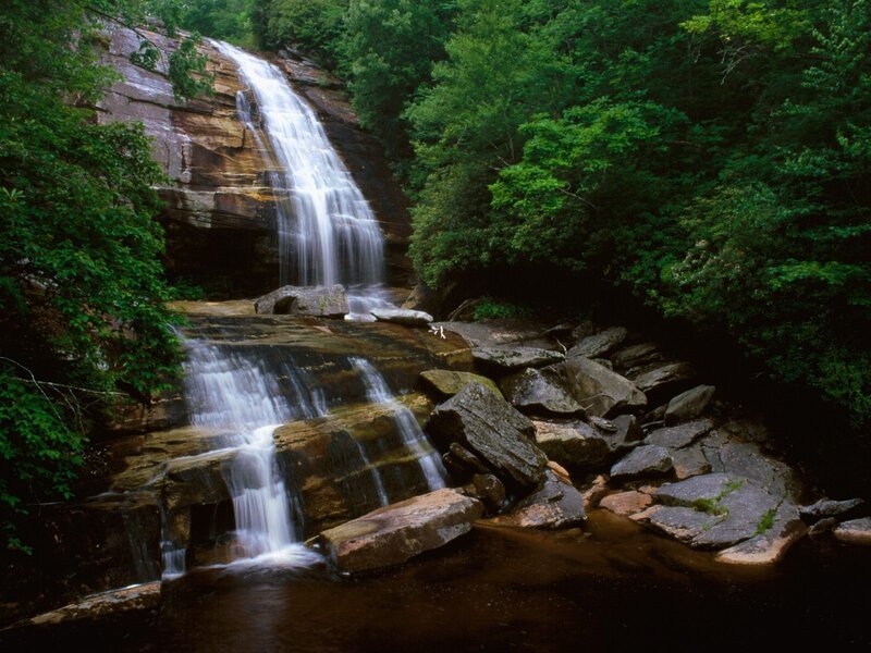 Waterfall in a forest