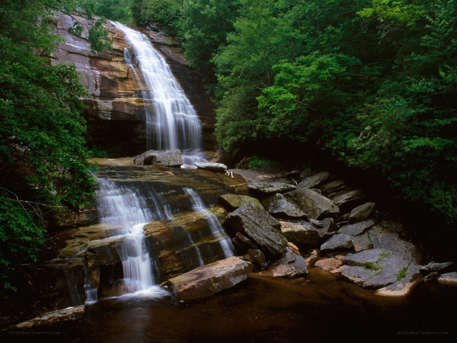 Waterfall in a forest