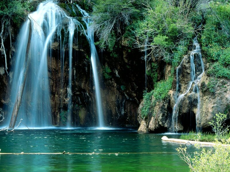 Waterfall in a forest