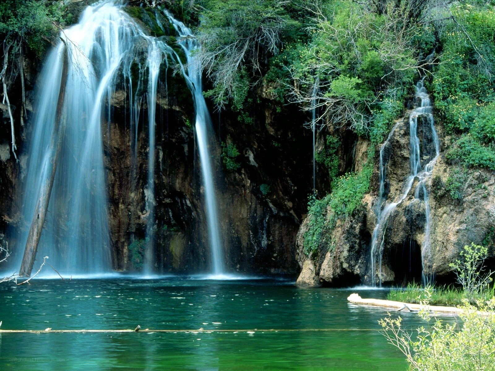 Waterfall in a forest