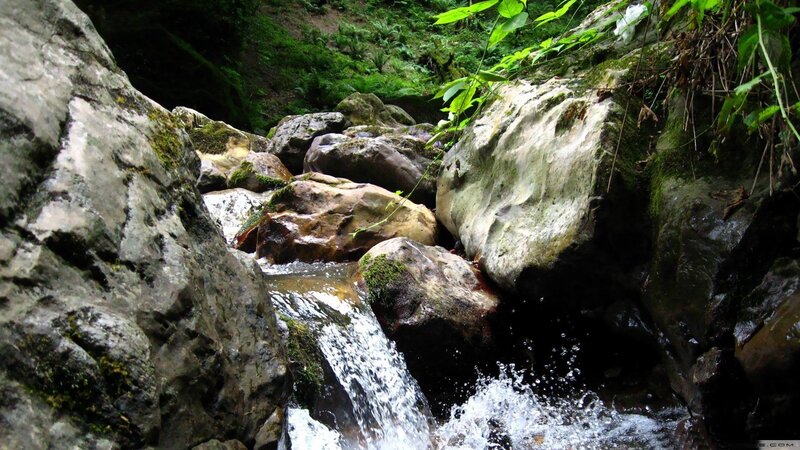 Waterfall in a forest