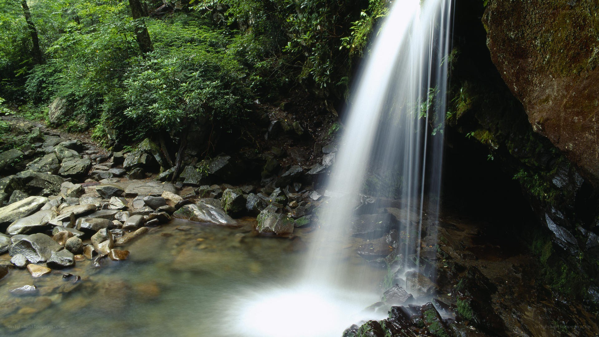 Waterfall in a forest