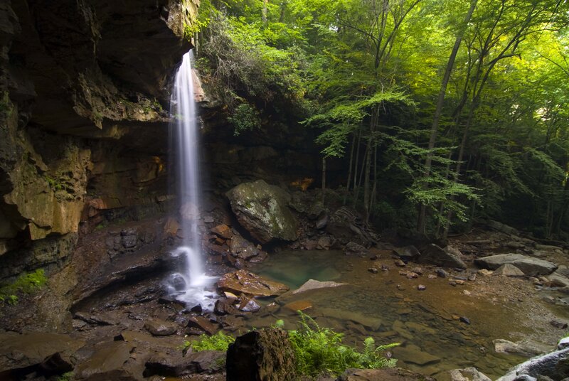 Waterfall in a forest