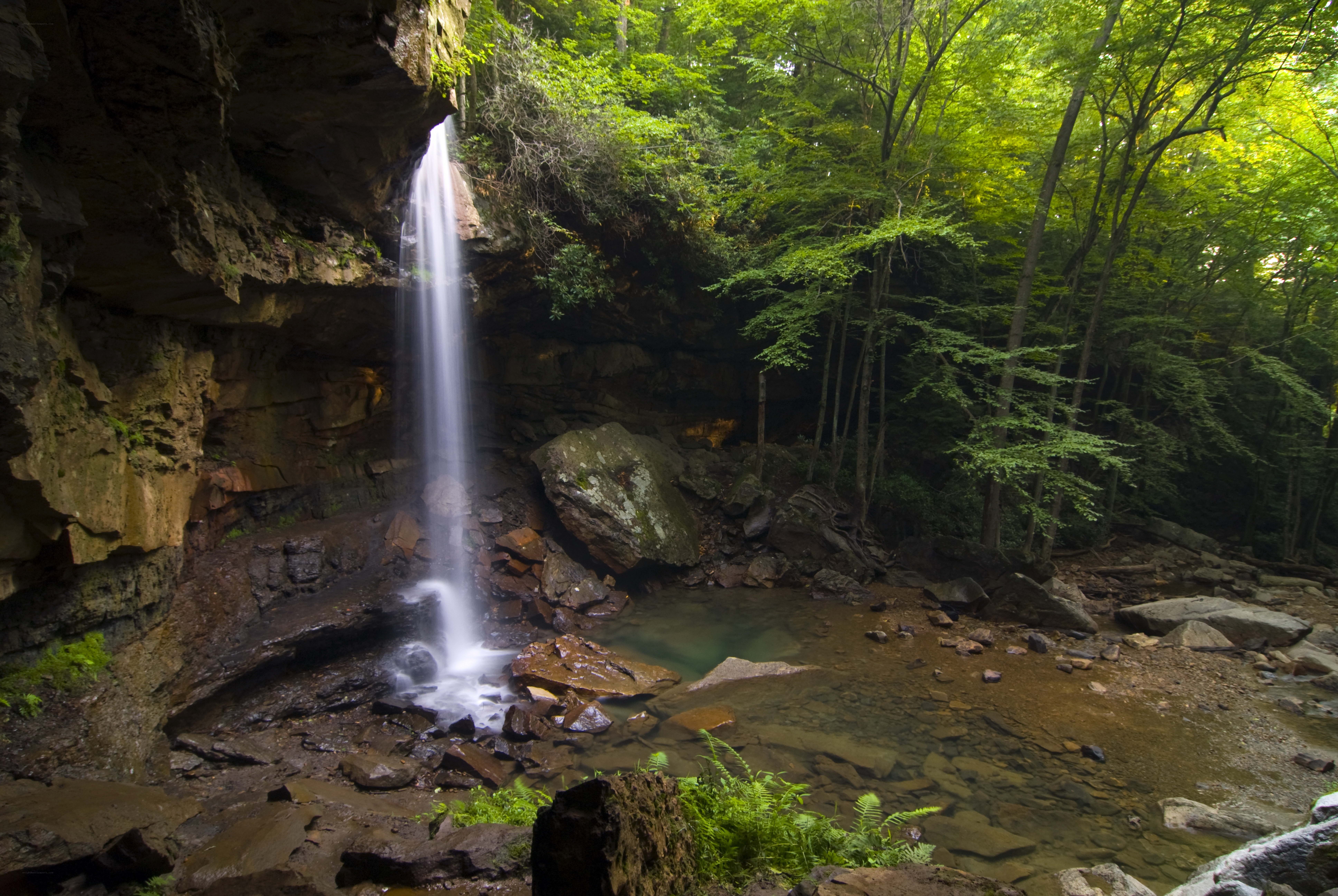 Waterfall in a forest