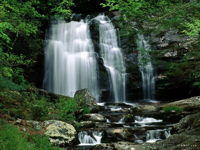 Waterfall in a forest
