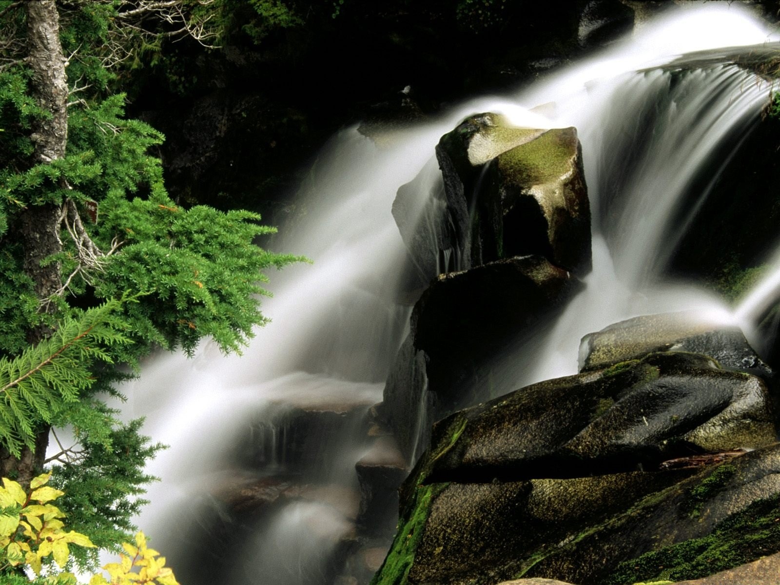 Waterfall in a forest