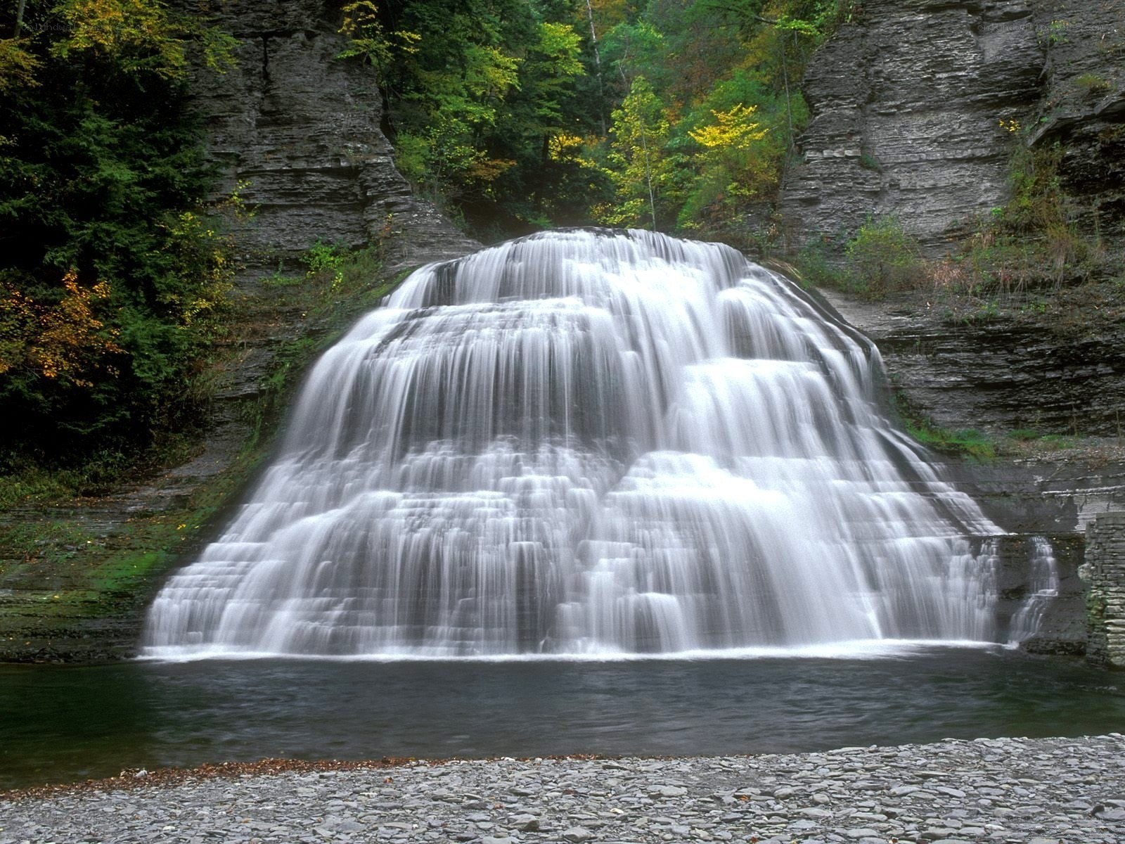 Waterfall in a forest