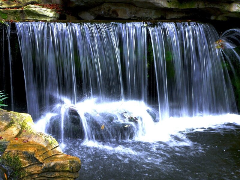 Waterfall in a forest