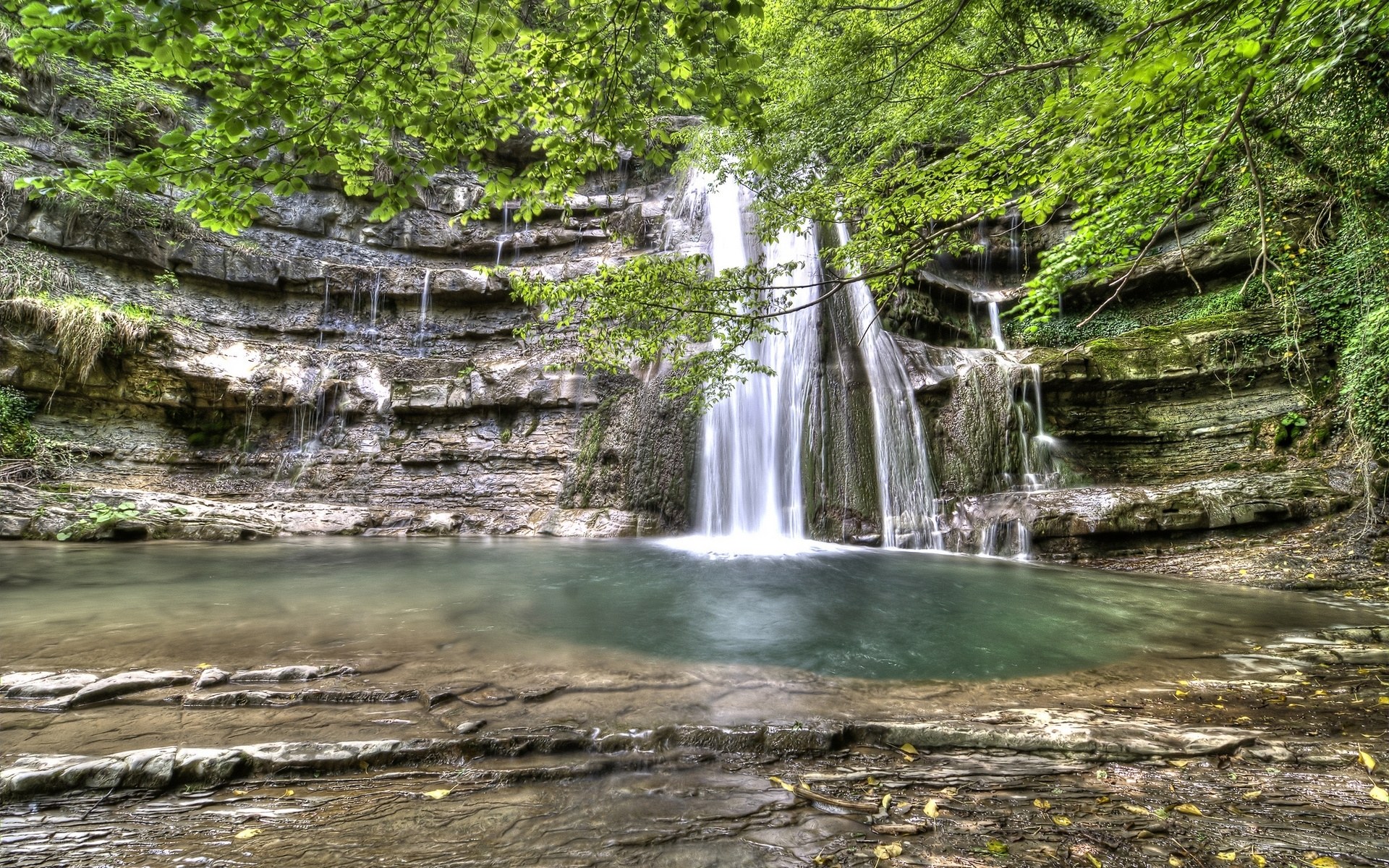 Waterfall in a forest