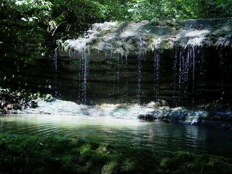 Waterfall in a forest
