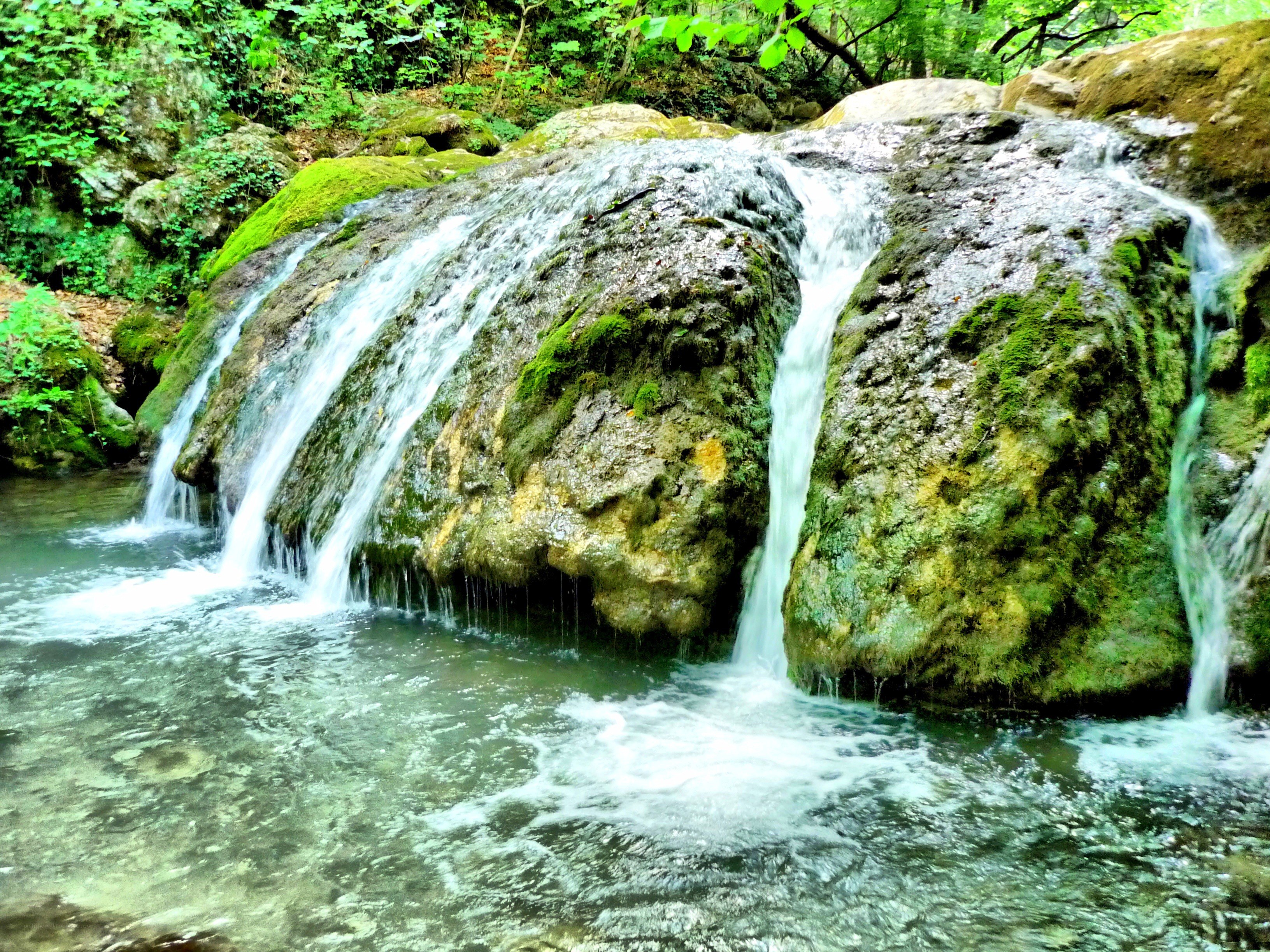Waterfall in a forest