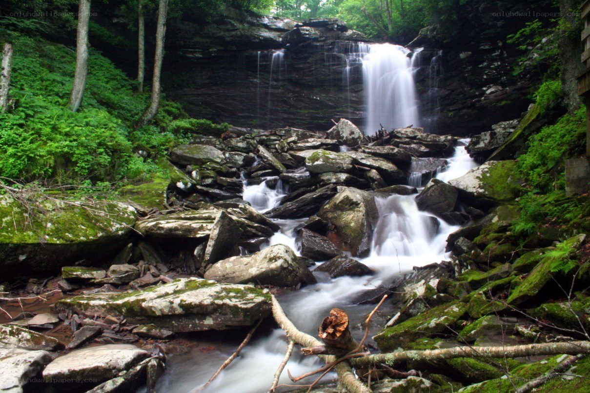 Waterfall in a forest