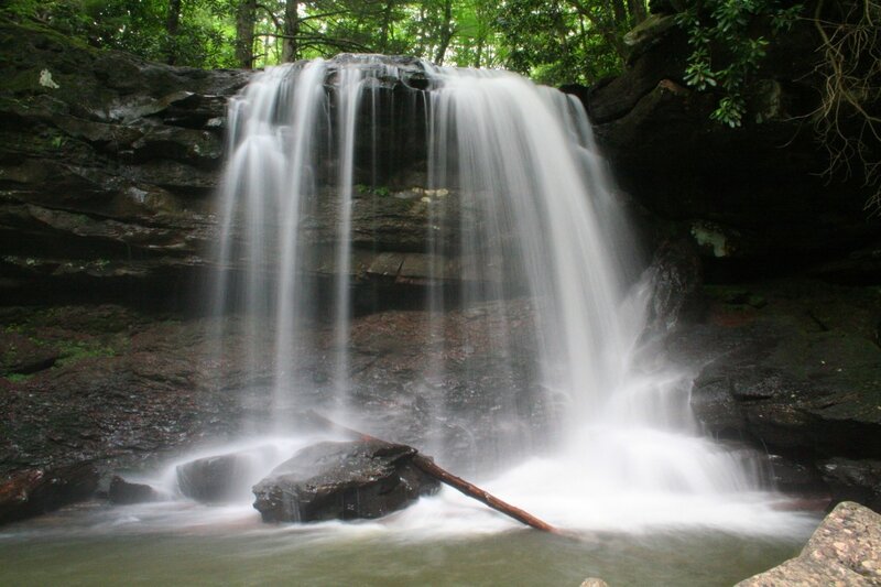 Waterfall in a forest