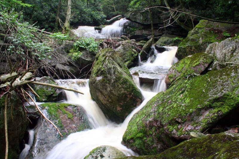 Waterfall in a forest