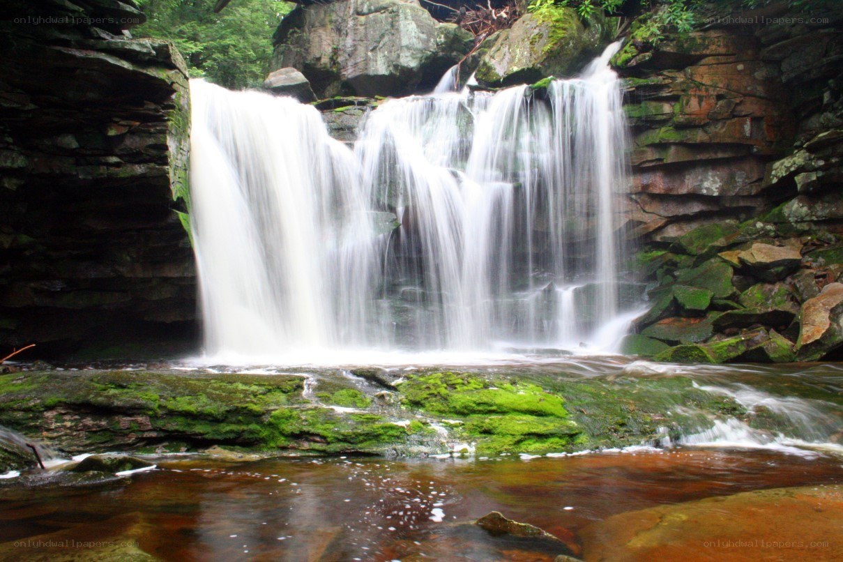 Waterfall in a forest