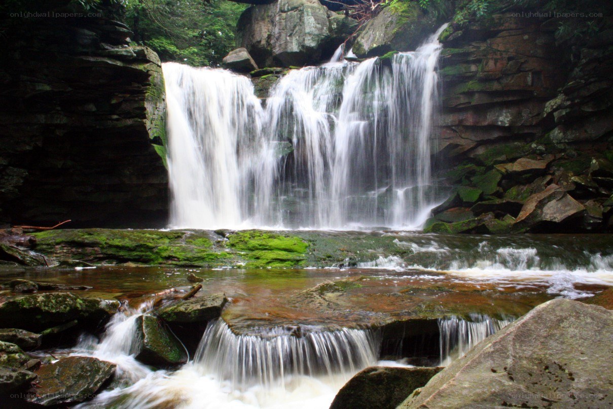 Waterfall in a forest