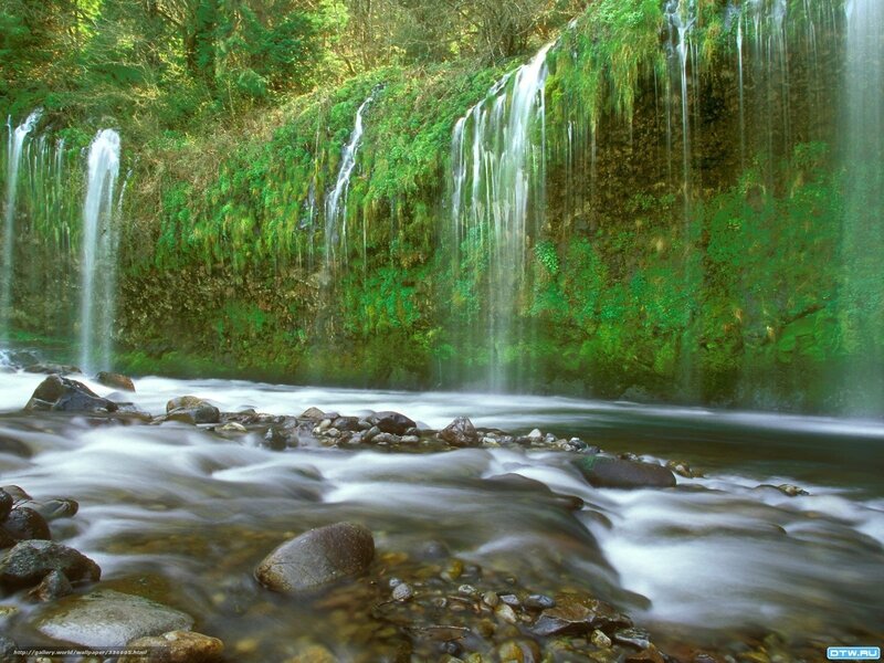 Waterfall in a forest