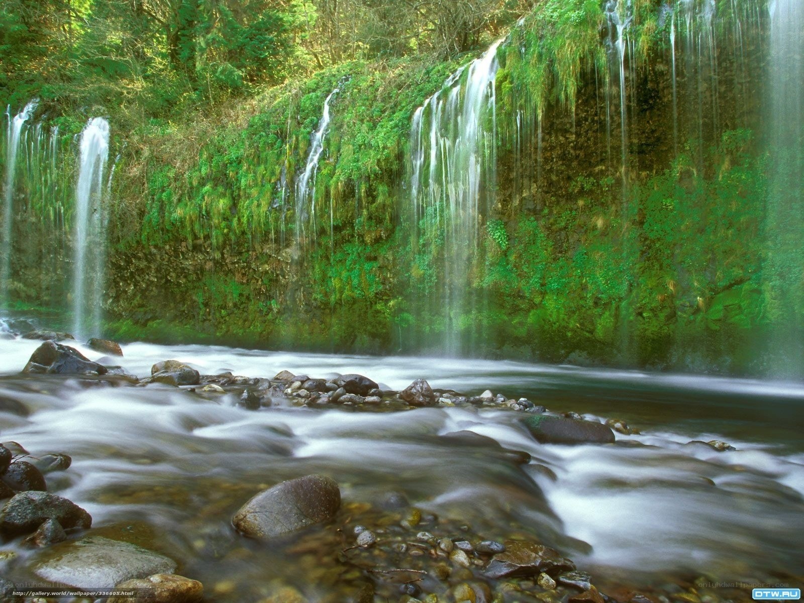 Waterfall in a forest