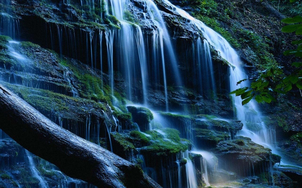 Waterfall in a forest