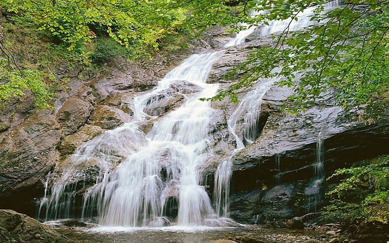 Waterfall in a forest