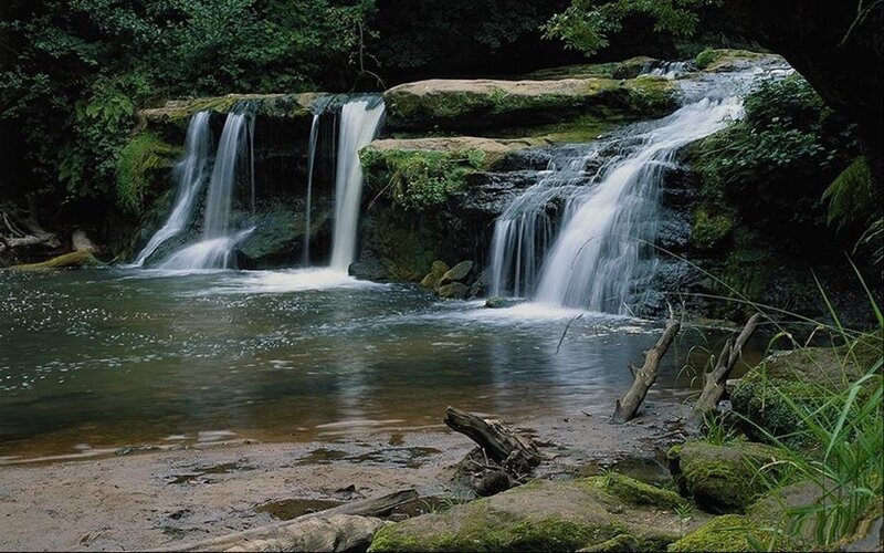 Waterfall in a forest